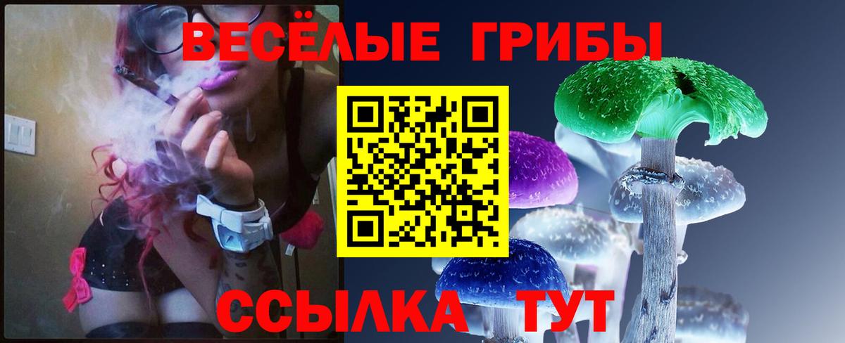 Псилоцибиновые грибы Cubensis Чистополь